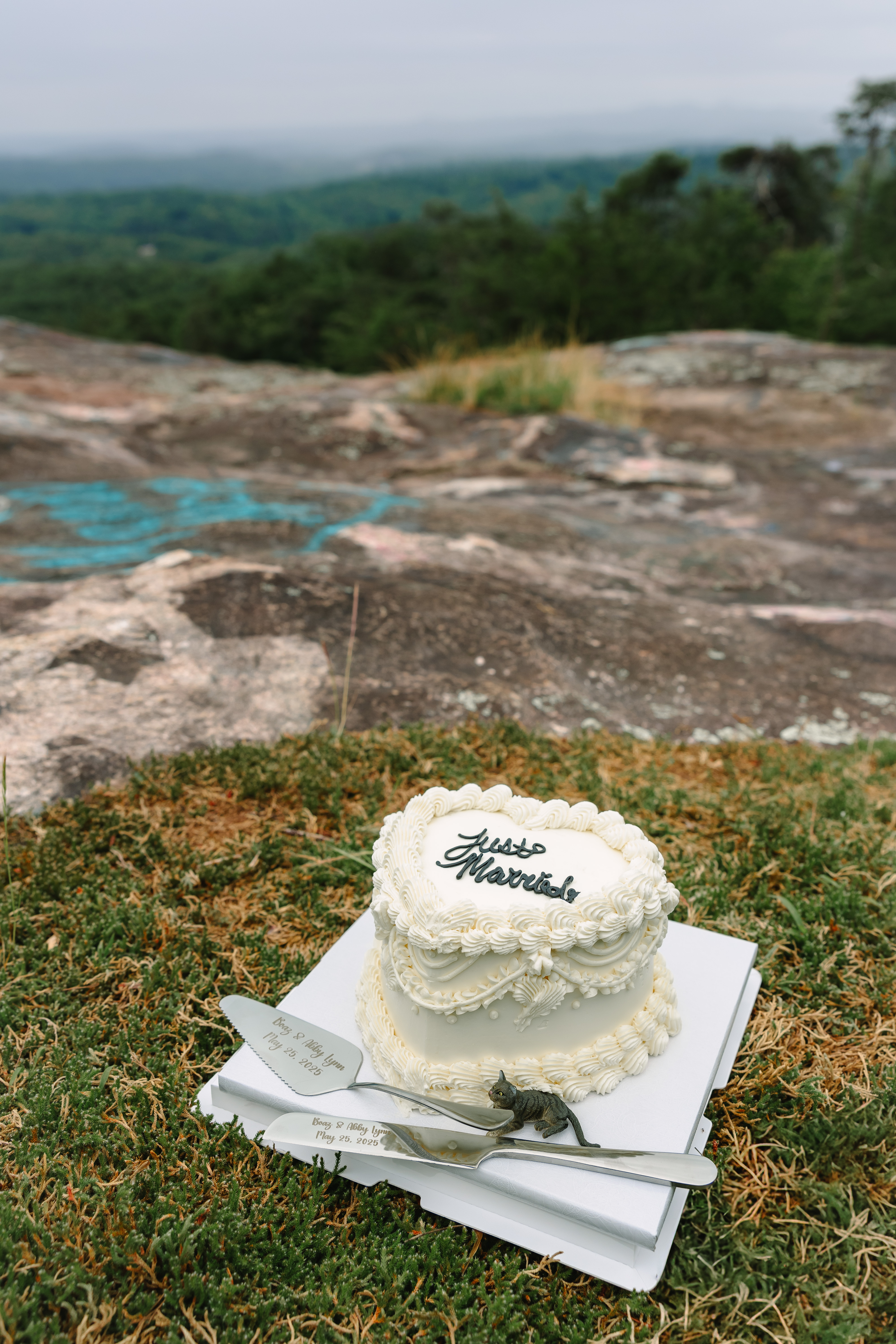 BaldRock,SC,Elopement-244