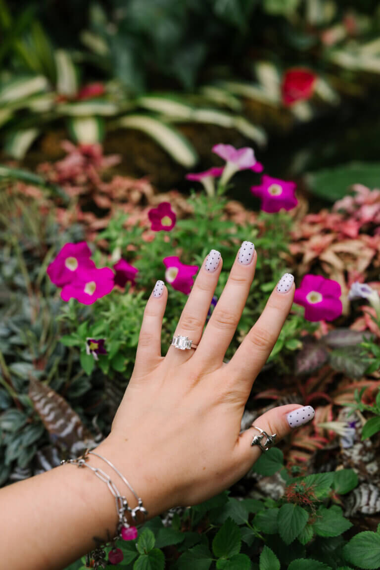 CAP_BiltmoreProposal-88